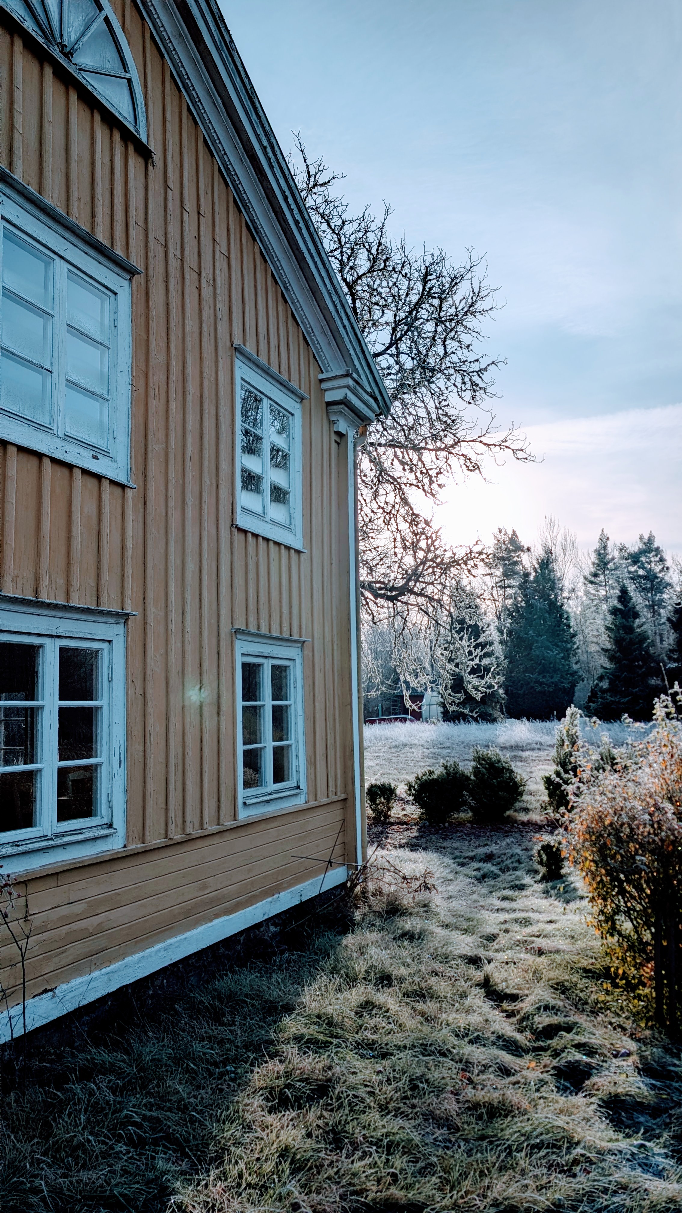 Garten im Winter Holmsjö 246