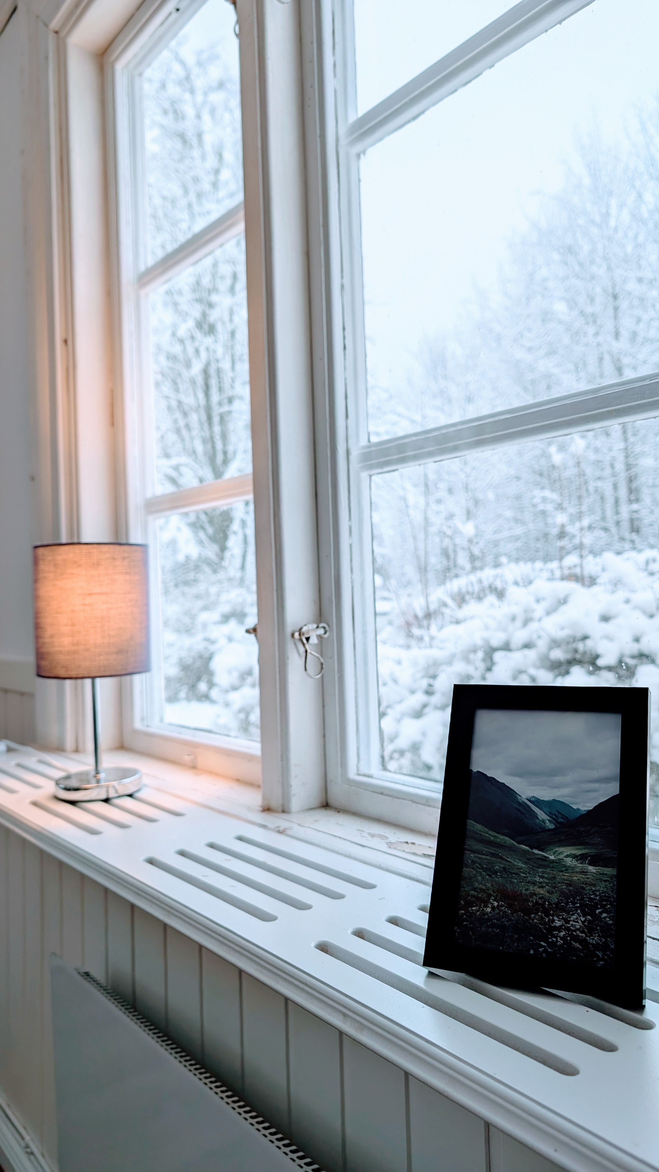 Fensterblick Holmsjö 246