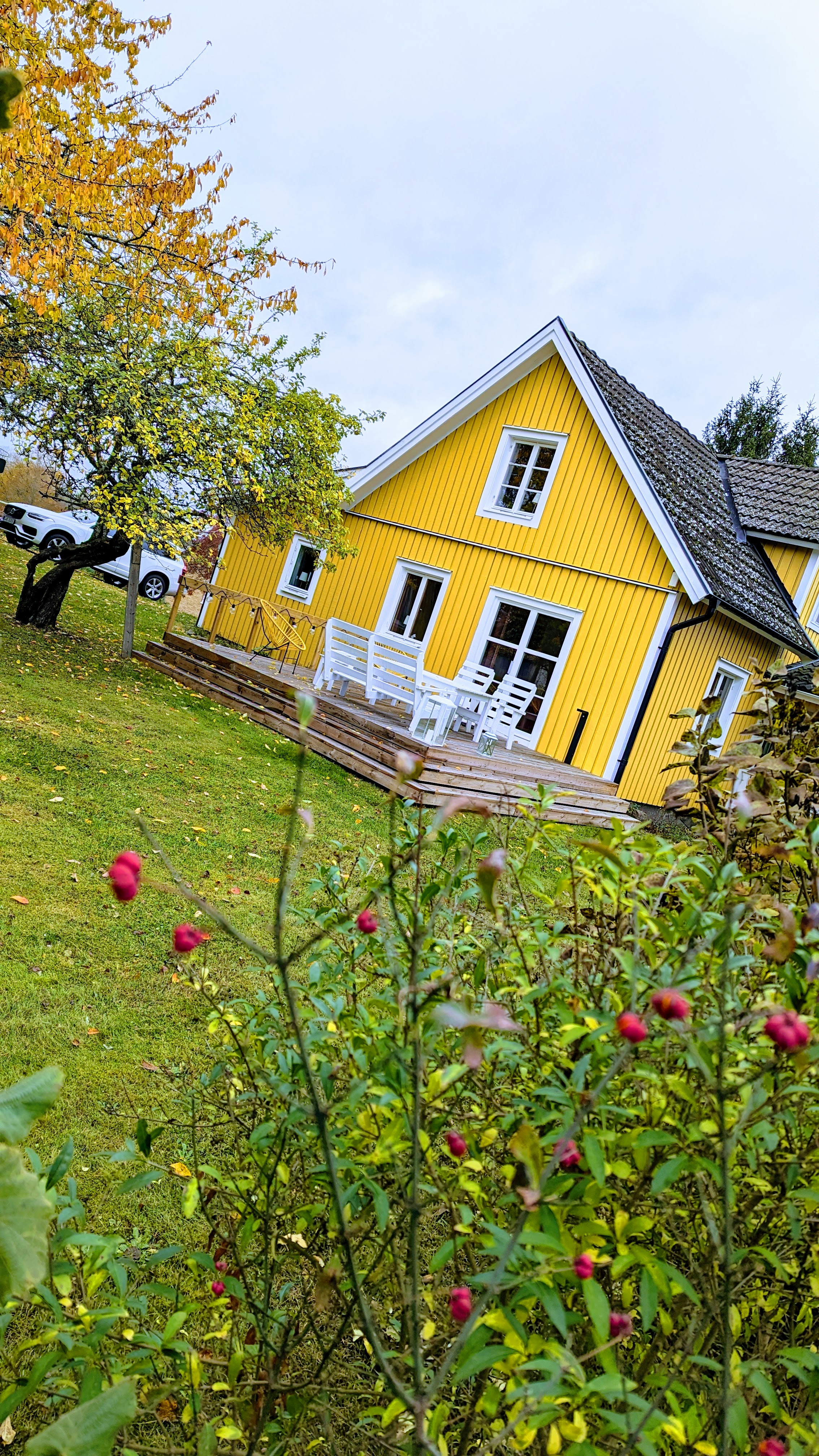 Terrassentisch mit Herbstbeeren, Obstgarten Mörlunda