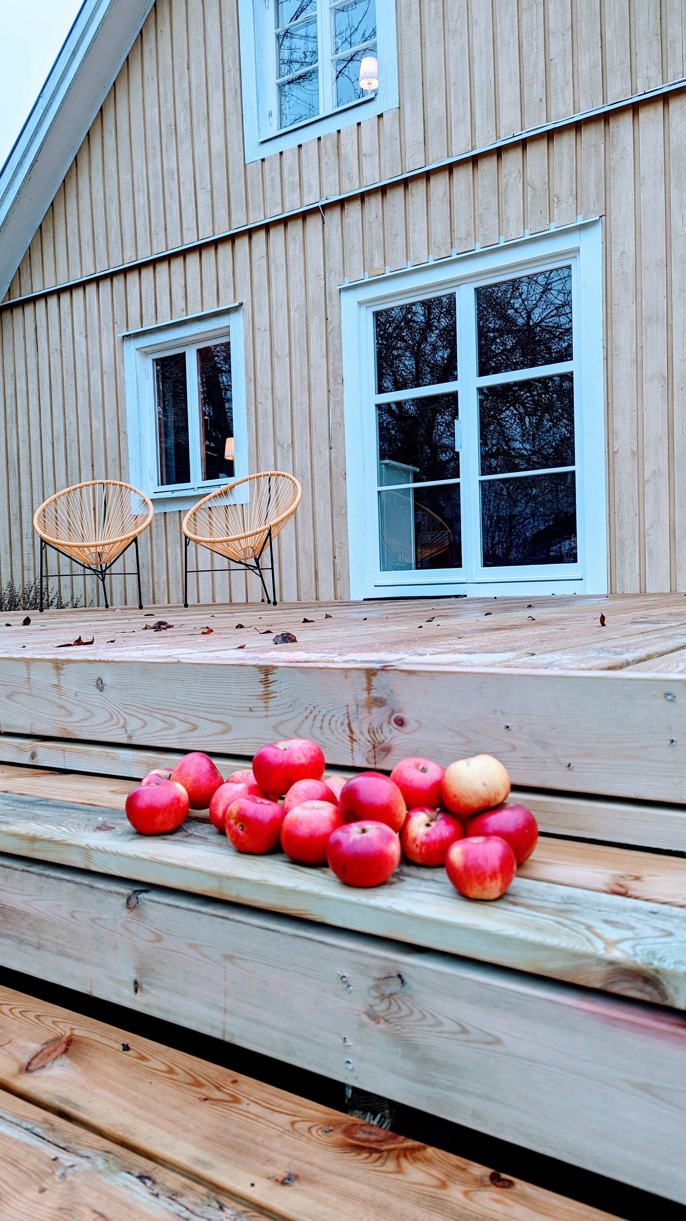 Frisch geerntete Äpfel auf der Treppe, Obstgarten Mörlunda